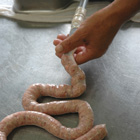 �\�[�Z�[�W����