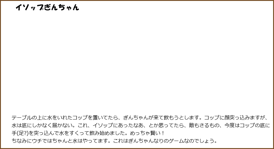 &nbsp;イソップぎんちゃん テーブルの上に水をいれたコップを置いてたら、ぎんちゃんが来て飲もうとします。コップに顔突っ込みますが、水は底にしかなく届かない。これ、イソップにあったなあ、とか思ってたら、敵もさるもの、今度はコップの底に手(足?)を突っ込んで水をすくって飲み始めました。めっちゃ賢い！ ちなみにウチではちゃんと水はやってます。これはぎんちゃんなりのゲームなのでしょう。
